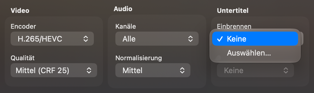 Der Bereich „Untertitel“ mit Einbrennen auf Auswählen… und einem Menü „Spur“