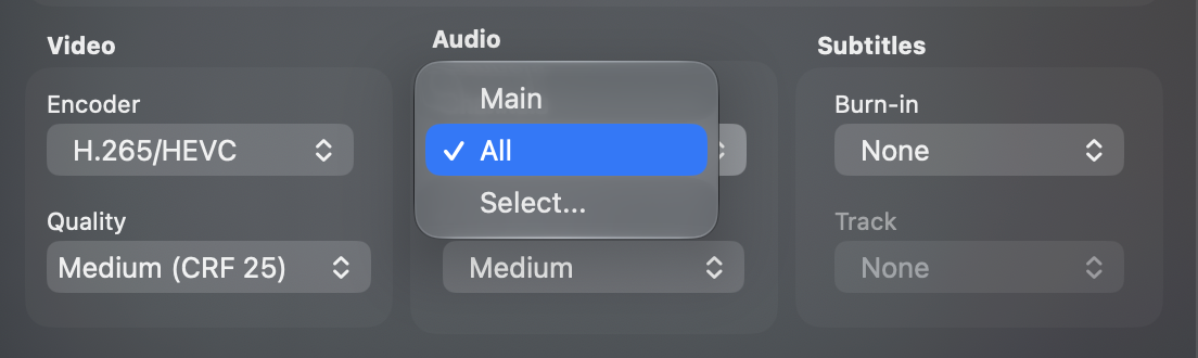 The Audio section with the Channels menu open: Main, All, Select…