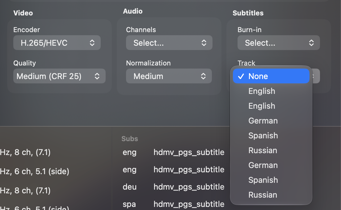 The Subtitles section with Burn-in set to Select… and a Track menu