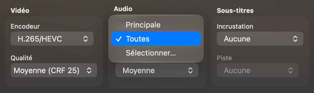 La section Audio avec le menu Canaux ouvert : Principale, Toutes, Sélectionner…