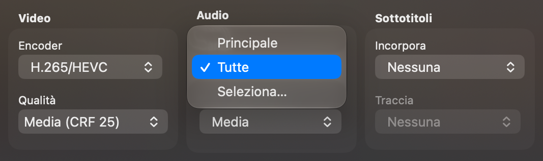 La sezione Audio con il menu Canali aperto: Principale, Tutte, Seleziona…