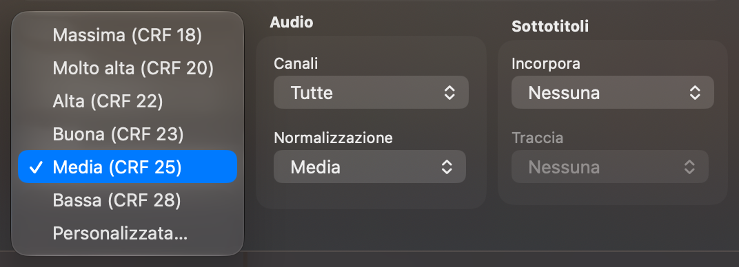 Il menu Qualità con i preset da Massima a Bassa e Personalizzata…